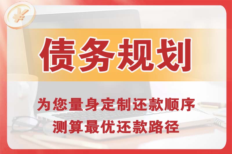 大茂债务规划